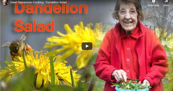 Read more about the article Great Depression Cooking – Dandelion Salad