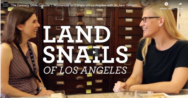 Read more about the article Mysterious land snails of Los Angeles with Dr. Jann Vendetti