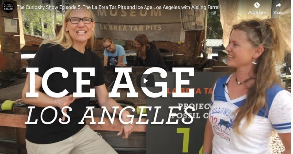 Read more about the article The La Brea Tar Pits and Ice Age Los Angeles with Aisling Farrel