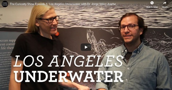 Read more about the article Los Angeles Underwater, with Dr. Jorge Velez-Juarbe
