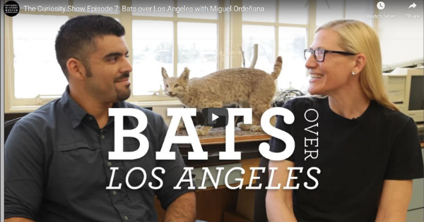 Read more about the article Bats over Los Angeles with Miguel Ordeñana