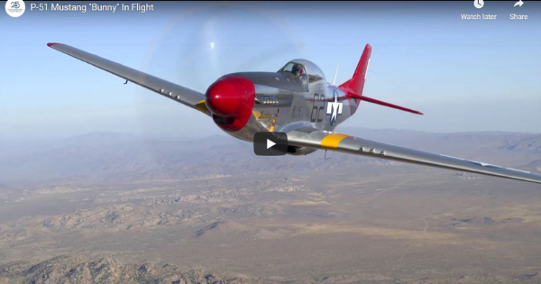 Read more about the article P-51 Mustang “Bunny” In Flight