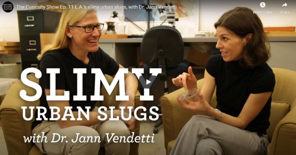 Read more about the article L.A.’s Slimy Urban Slugs, With Dr. Jann Vendetti