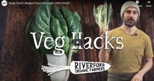 Read more about the article Swiss Chard | Braised Chard with Garlic