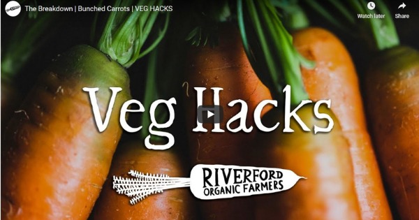 Read more about the article The Breakdown | Bunched Carrots | VEG HACKS
